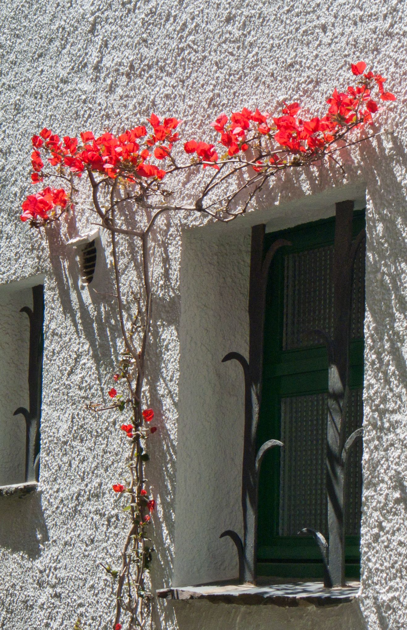 Cadaqués Magda 4